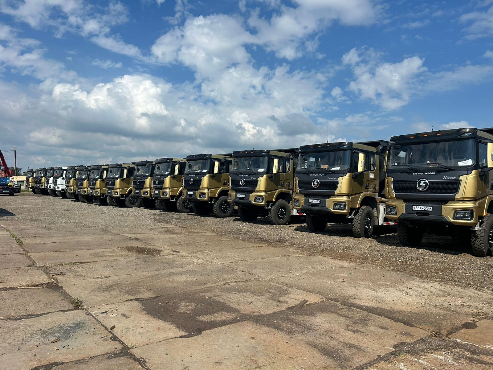 Beige and green Rubber Components