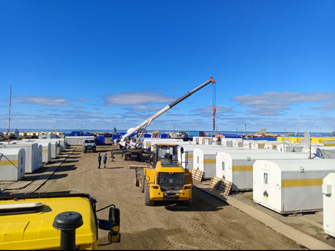 Set of refrigerated trailers for transport.